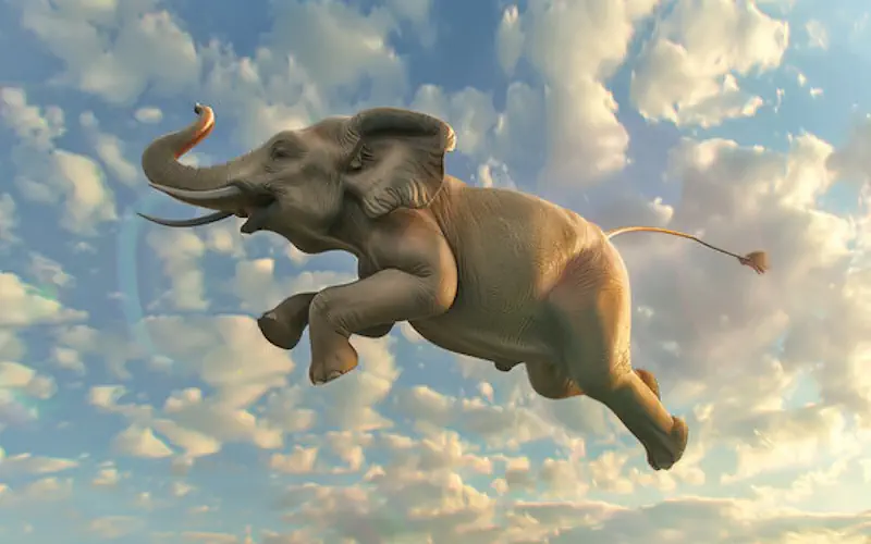 the flying elephant memoirs of an olympic champion